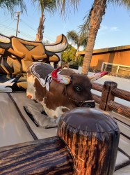 48871CDD 22AF 4039 AB2D 693BC7999C70 1682061378 Mechanical Bull