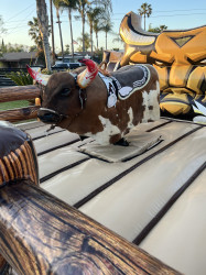 Mechanical Bull