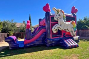 Bounce House Safety Tips for Parents