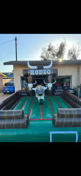 Cactus mechanical bull