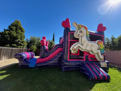 Unicorn Combo Dry slide