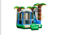 Backyard tropical breeze