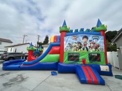 Paw Colorful combo water slide